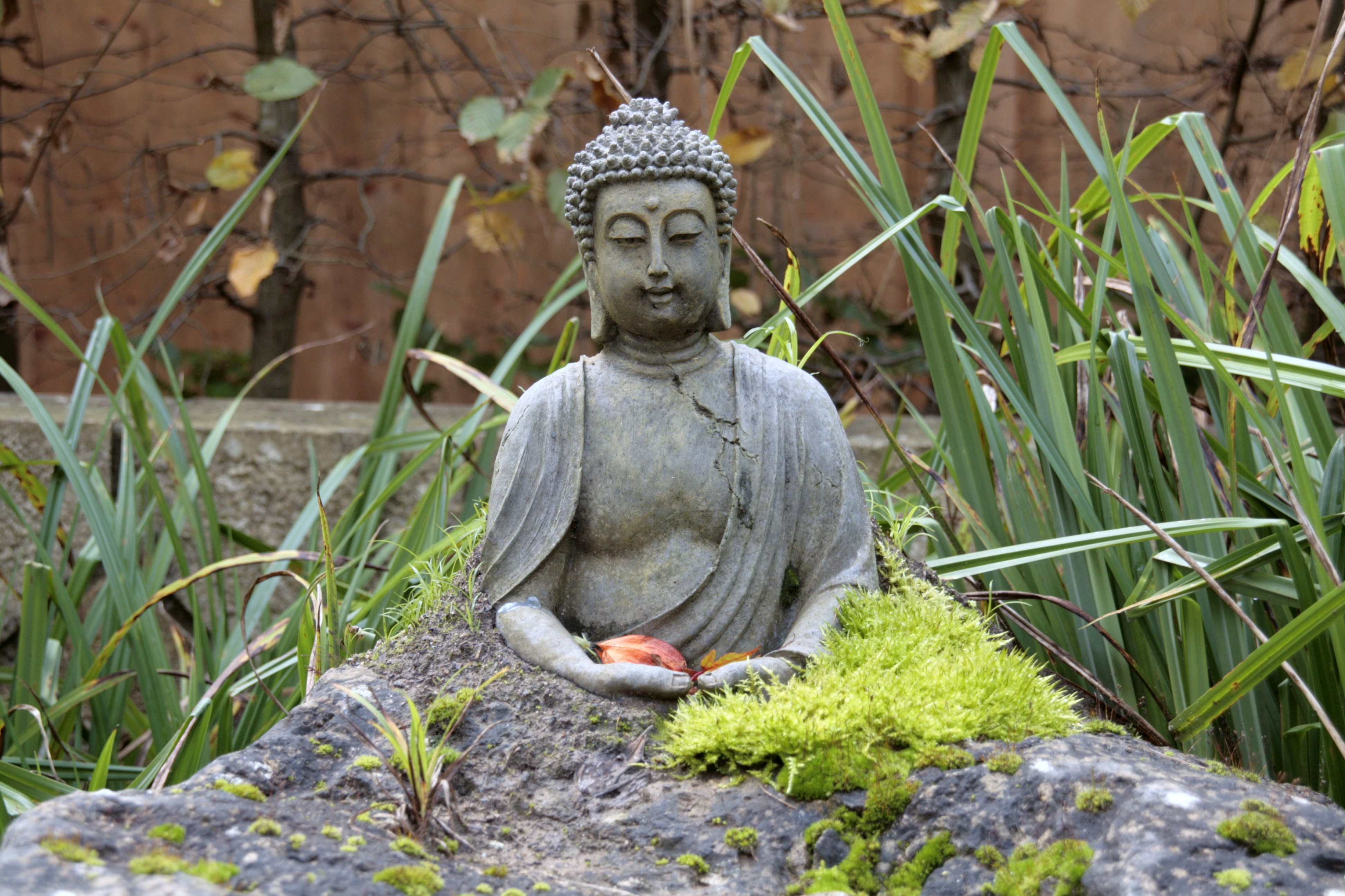 Buddha im Stein