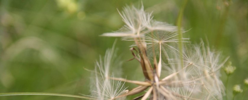 Tag der Stille – Klangmeditation und innere Einkehr